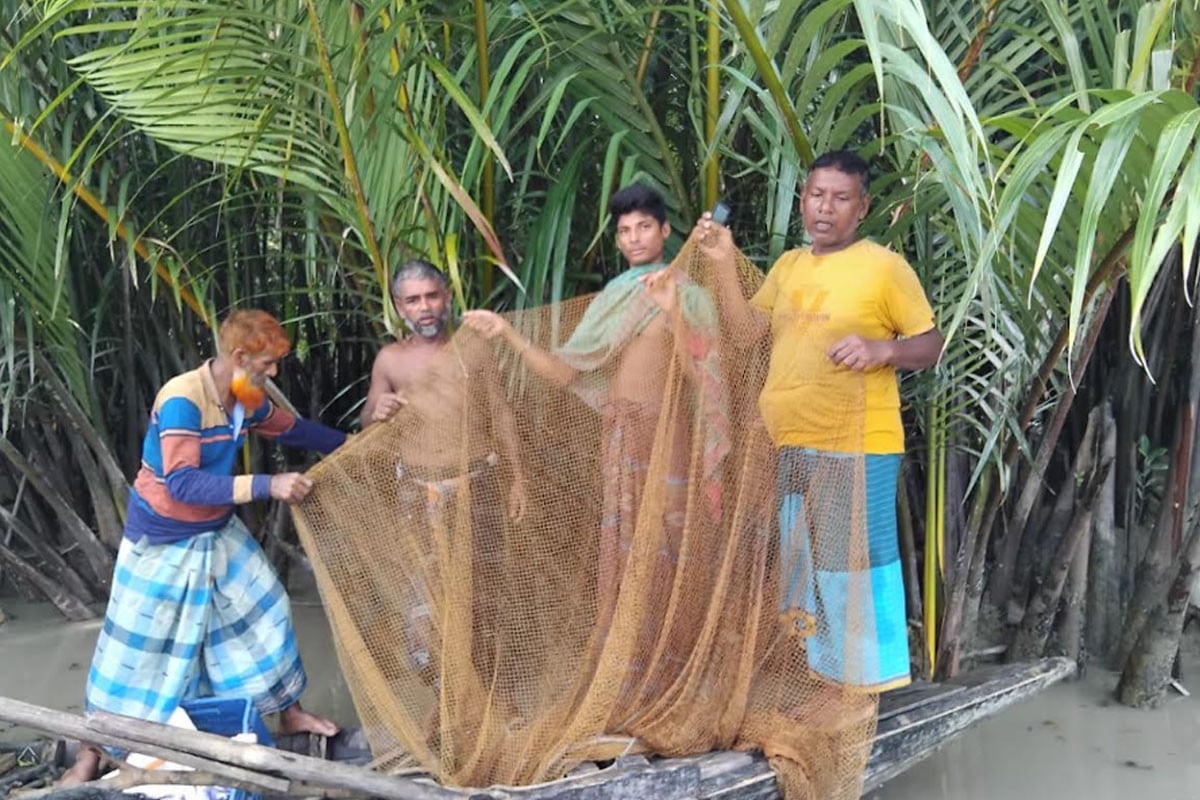 সুন্দরবনের অভয়ারণ্যে অবৈধভাবে মাছ শিকার, চার জেলে আটক