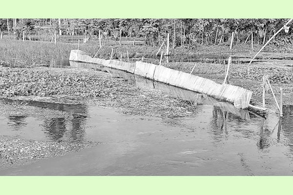 নালায় বাঁধ, জলাবদ্ধতায় ক্ষতির মুখে আমন