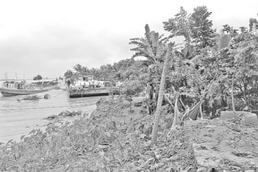 পদ্মায় বিলীন ২ কিলোমিটার বাঁধ