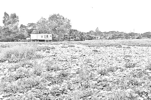 আবর্জনায় সয়লাব নদী