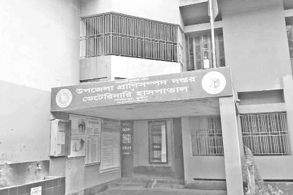 জনবল সংকটে প্রাণিসম্পদ অফিসে কার্যক্রম স্থবির