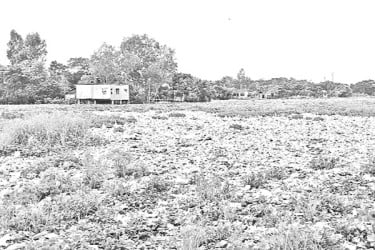 আবর্জনায় সয়লাব নদী