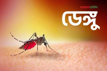 ডেঙ্গুতে আরও ৫ জনের মৃত্যু