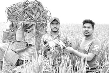 ফাঁদে আটক ১০টি পাখি অবমুক্ত