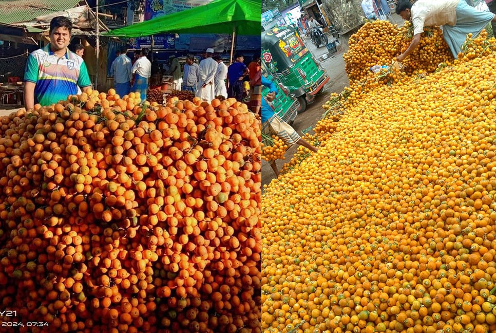 কক্সবাজারে সুপারির বাম্পার ফলন