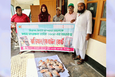 দিনাজপুরে অভিযান চালিয়ে পিরানহা মাছ জব্দ