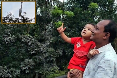 শিক্ষকের বাড়িতে পাখির মেলা
