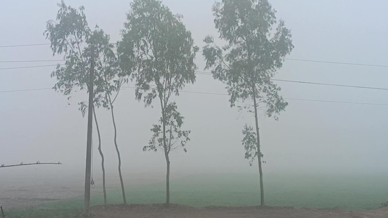রংপুরে দিন-রাতের তাপমাত্রার ফারাক ১০ ডিগ্রি, কারণ কী?
