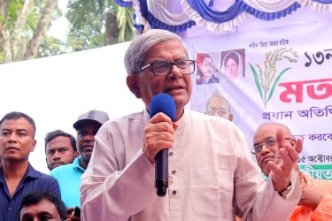 দেশ বাঁচাতে দ্রুত নির্বাচন দরকার : মির্জা ফখরুল
