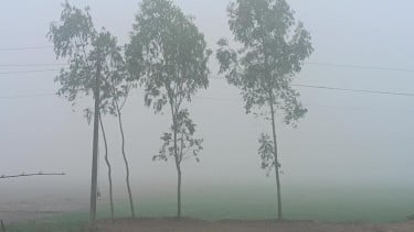 রংপুরে দিন-রাতের তাপমাত্রার ফারাক ১০ ডিগ্রি, কারণ কী?
