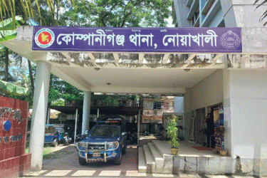 নোয়াখালীতে পানিতে ডুবে দুই ভাইয়ের মৃত্যু