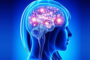 আলঝেইমার কি আদৌ মস্তিষ্কের রোগ?