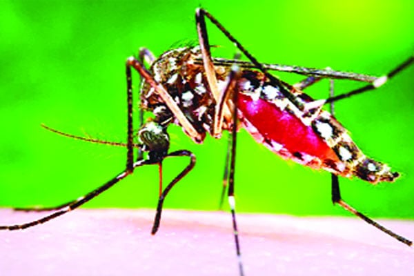 ডেঙ্গুতে আরও চারজনের মৃত্যু হাসপাতালে ভর্তি ৭৫৮
