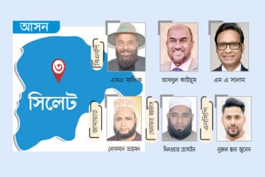 প্রবাসীদের পদচারণে ভোটের মাঠ সরগরম