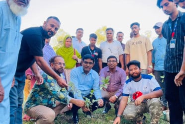 পঞ্চগড়ে ফুলের চারা রোপণ