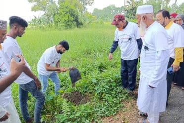 একদিনে শিক্ষার্থীরা লাগিয়েছেন ২০ হাজার তালের বীজ
