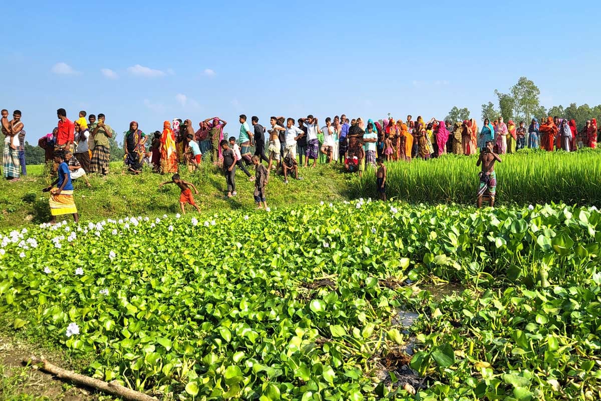 সলঙ্গায় কচুরিপানার নিচ থেকে অজ্ঞাত ব্যক্তির পায়ের কঙ্কাল উদ্ধার