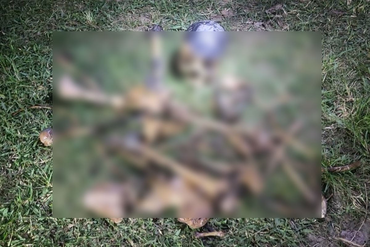 সলঙ্গায় ডোবার কচুরিপানার নিচ থেকে কঙ্কাল উদ্ধার