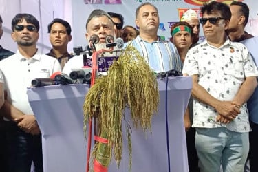 বিএনপির ৩১ দফা বাস্তবায়নে চাঁদপুরে জনসভা