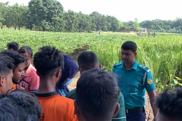 রাজশাহীতে ধান খেতে মিললো অজ্ঞাত নারীর লাশ