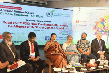 সরকারি প্রতিষ্ঠানকে নবায়নযোগ্য জ্বালানির আওতায় আনতে হবে: পরিবেশ উপদেষ্টা