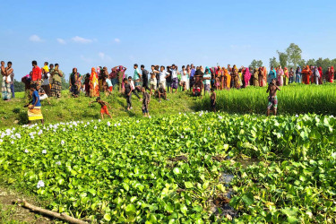 সলঙ্গায় কচুরিপানার নিচ থেকে অজ্ঞাত ব্যক্তির পায়ের কঙ্কাল উদ্ধার
