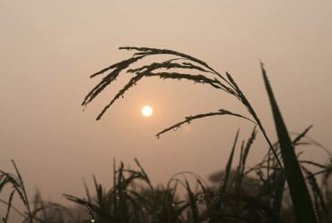 উত্তরাঞ্চলে দিনে গরম, রাতে শীত