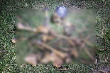 সলঙ্গায় ডোবার কচুরিপানার নিচ থেকে কঙ্কাল উদ্ধার