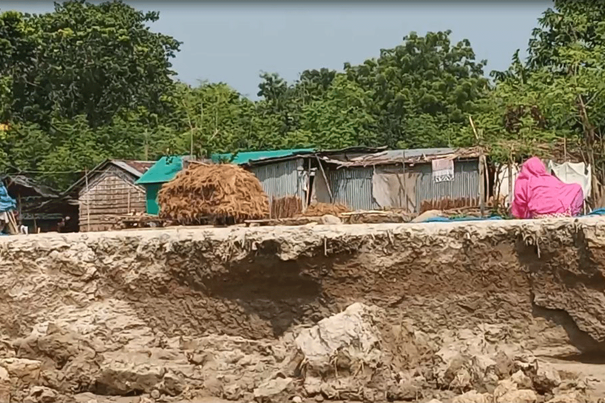 চাঁপাইনবাবগঞ্জে পদ্মার ভাঙনে দিশেহারা ৫০ হাজার মানুষ