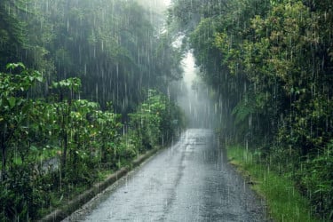 চার দিনের মধ্যে লঘুচাপের শঙ্কা, হতে পারে ঘূর্ণিঝড়ও