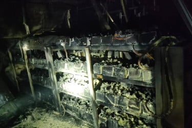 ইনসেপ্টা ফার্মাসিউটিক্যালসের ওষুধ ফ্যাক্টরিতে আগুন, এক ঘণ্টা পর নিয়ন্ত্রণে