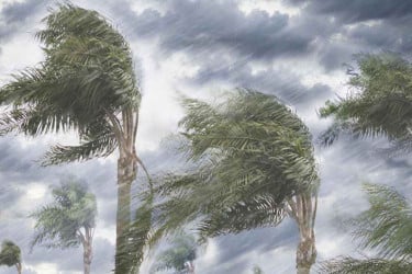 সন্ধ্যার মধ্যে যেসব জেলায় বজ্রবৃষ্টির আভাস