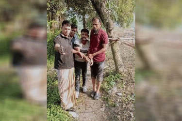 লুঙ্গি পরে এলাকায় ঘোরাফেরা পুলিশের, অবশেষে ধরা কুখ্যাত ডাকাত রাজু