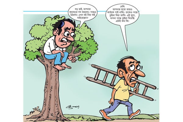 গাছে তুলে কাড়ছে মই