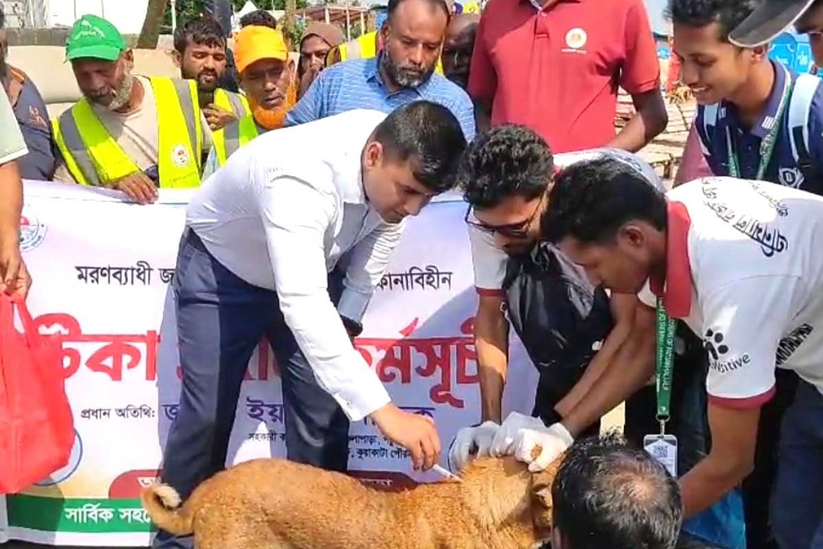 কলাপাড়ায় ৫ শতাধিক কুকুর-বিড়ালকে জলাতঙ্কের টিকা প্রদান
