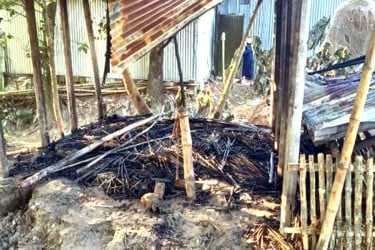 বগুড়ায় অগ্নিকাণ্ডে কৃষকের তিন গরুর মৃত্যু