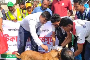 কলাপাড়ায় ৫ শতাধিক কুকুর-বিড়ালকে জলাতঙ্কের টিকা প্রদান