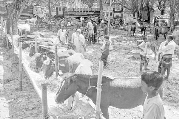 দেড় শ বছরের ঢেমঢেমিয়া কালীমেলা