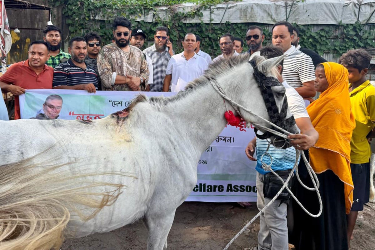 কক্সবাজারে ঘোড়ার জন্য খাদ্য বিতরণ বাংলাদেশ অ্যানিমেল ওয়েলফেয়ার অ্যাসোসিয়েশনের