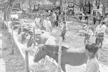 দেড় শ বছরের ঢেমঢেমিয়া কালীমেলা
