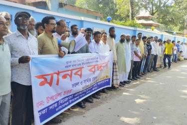 চাটমোহরে খুচরা সার বিক্রেতাদের মানববন্ধন