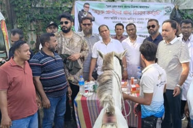 কক্সবাজারে ঘোড়ার জন্য খাদ্য বিতরণ বাংলাদেশ অ্যানিমেল ওয়েলফেয়ার অ্যাসোসিয়েশনের
