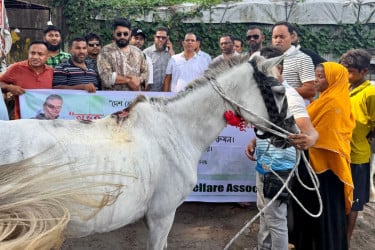কক্সবাজারে ঘোড়ার জন্য খাদ্য বিতরণ বাংলাদেশ অ্যানিমেল ওয়েলফেয়ার অ্যাসোসিয়েশনের