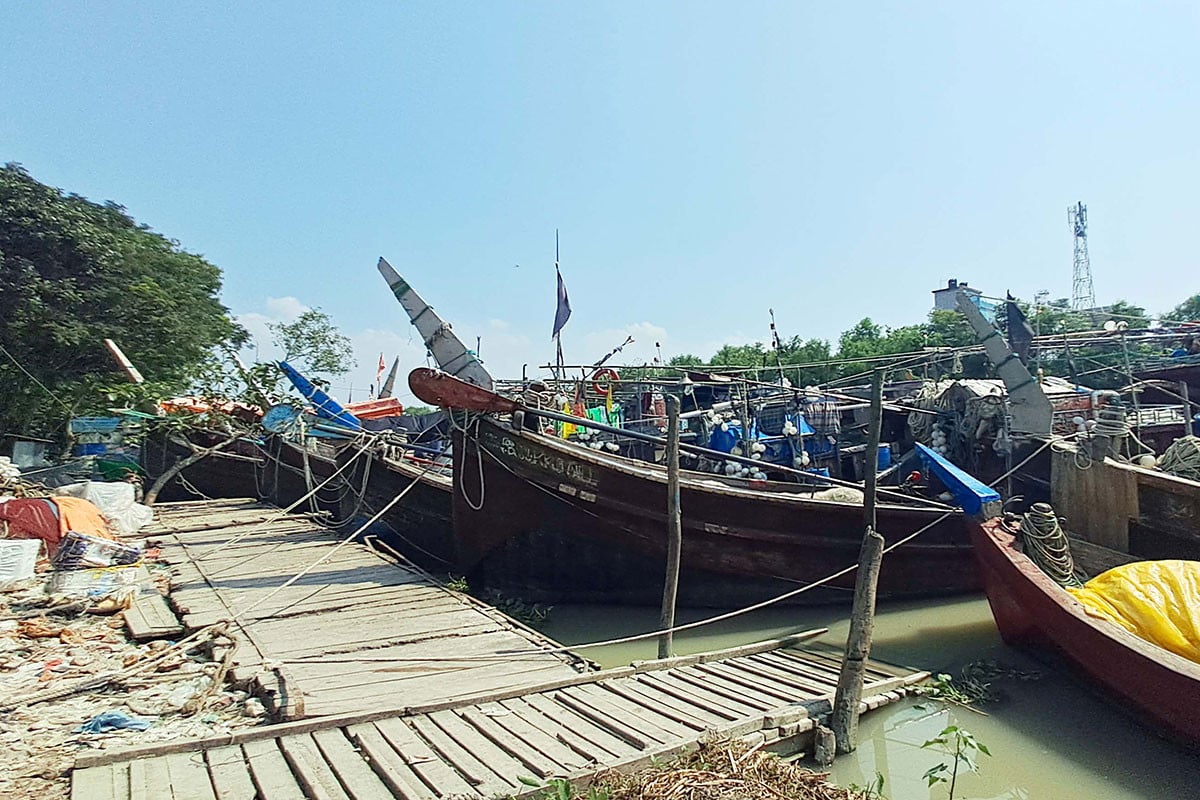 শনিবার মধ্যরাত থেকে উঠছে নিষেধাজ্ঞা, ইলিশ শিকারে নামবেন জেলেরা