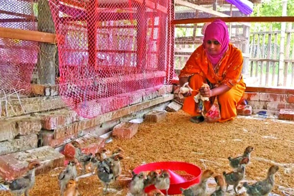 চাকরি ছেড়ে সফল উদ্যোক্তা