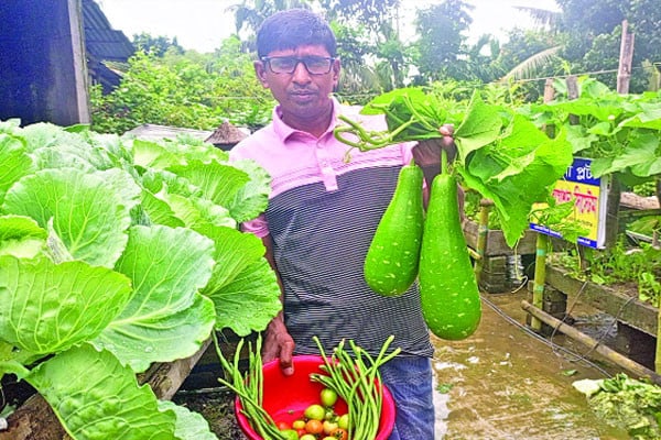শেকড় প্রযুক্তিতে বাজিমাত