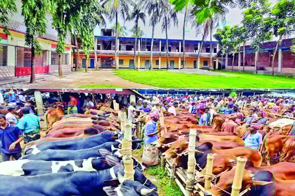 ঐতিহ্যবাহী আমবাড়ী হাট