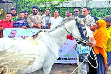 ক্ষুধার্ত ঘোড়াগুলোকে খাবার দিল অ্যানিমেল ওয়েলফেয়ার অ্যাসোসিয়েশন
