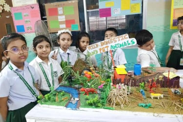 গ্রিনমাইন্ড ইন্টারন্যাশনাল স্কুলে অনুষ্ঠিত হলো সায়েন্স ফেয়ার