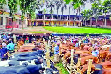 ঐতিহ্যবাহী আমবাড়ী হাট